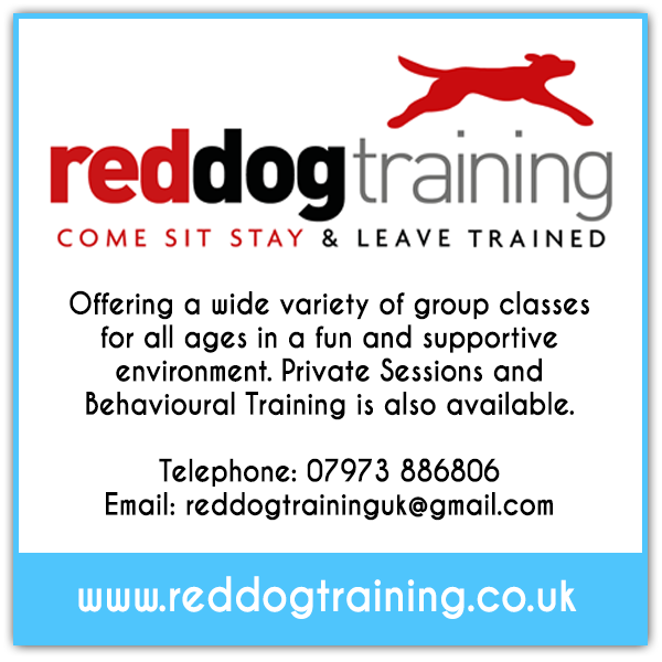 Red Dog Training